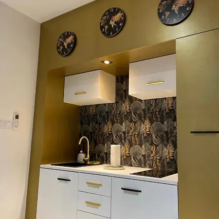 Cosy Tt Confort Proche Aeroport Apartment Colombier-Saugnieu